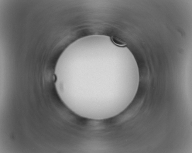 X0000114230139200910231511