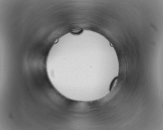 X0000114230140200910231511