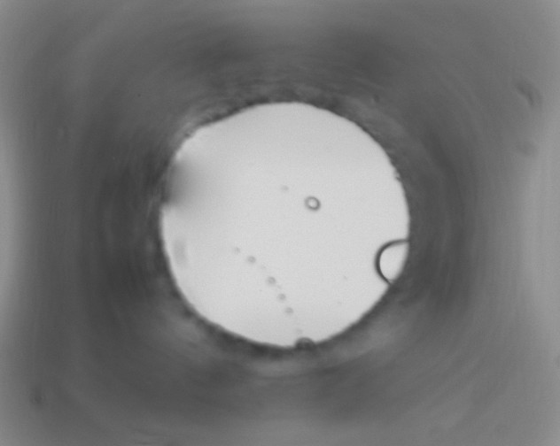 X0000114230144200910231511
