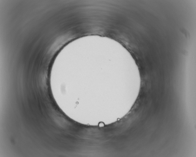 X0000114230146200910231510