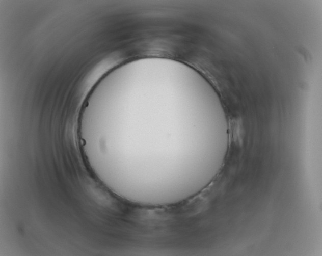 X0000114230147200910231510