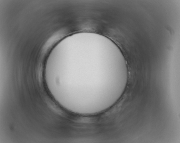 X0000114230149200910231510