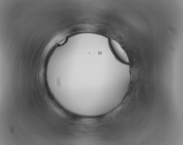 X0000114230150200910231510