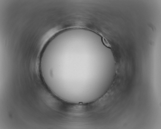X0000114230152200910231510