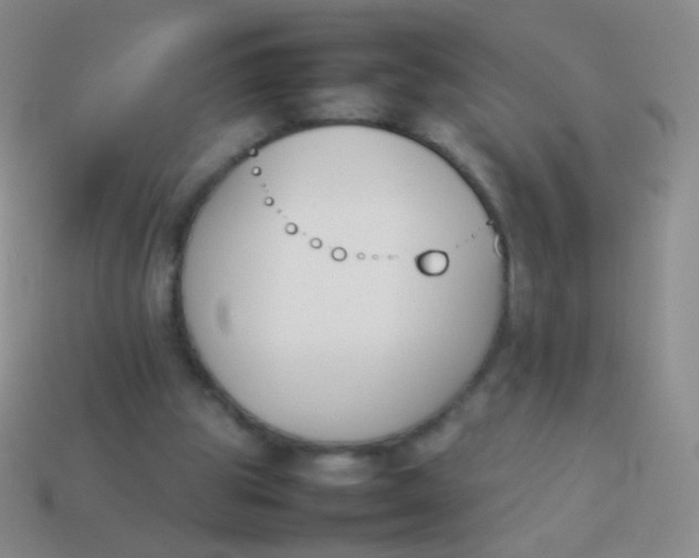 X0000114230153200910231510