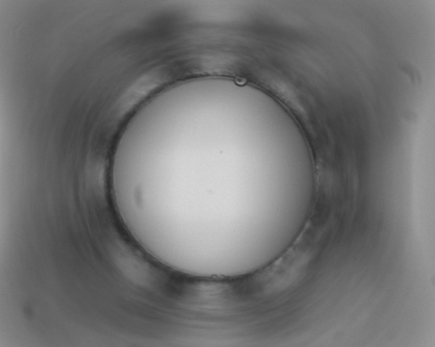 X0000114230154200910231510