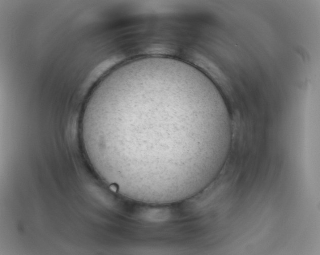 X0000114230155200910231510