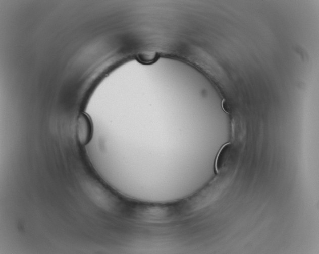 X0000114230156200910231511