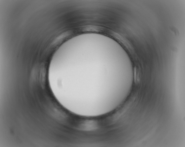 X0000114230157200910231511