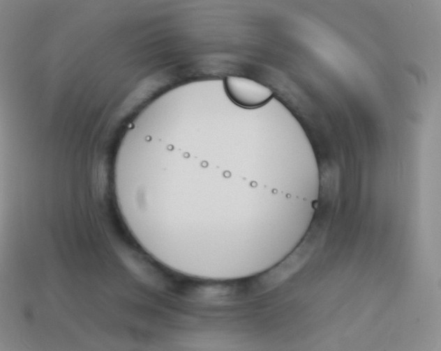 X0000114230158200910231511