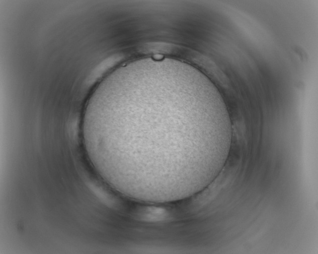 X0000114230159200910231511