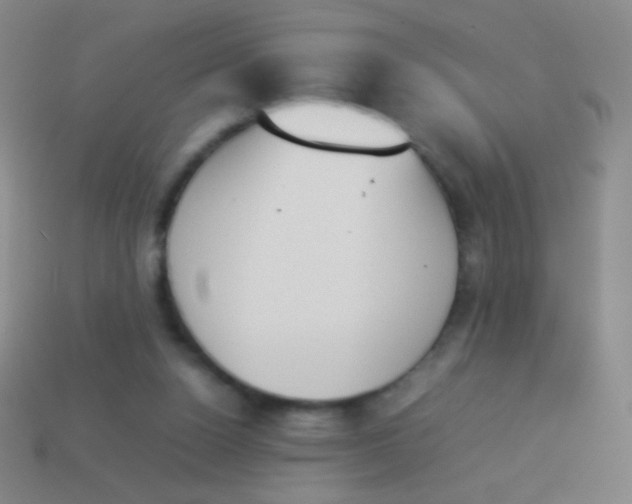 X0000114230160200910231511
