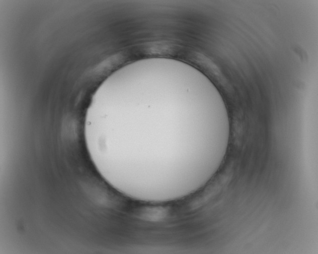 X0000114230161200910231511