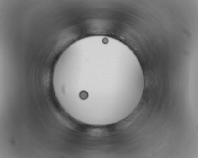 X0000114230163200910231511