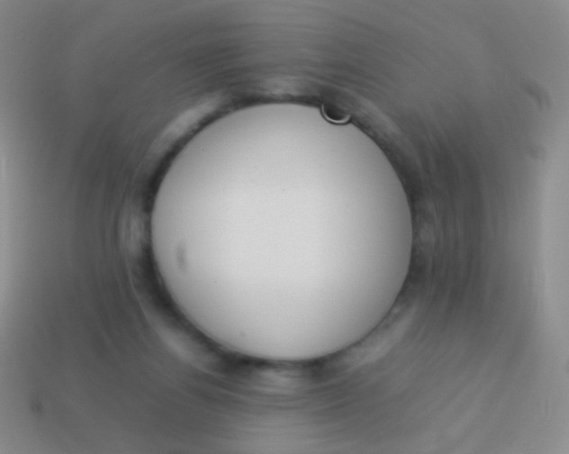 X0000114230164200910231511