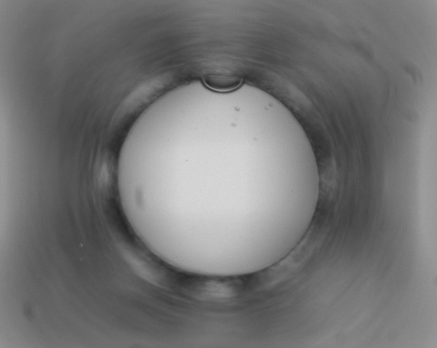 X0000114230166200910231511
