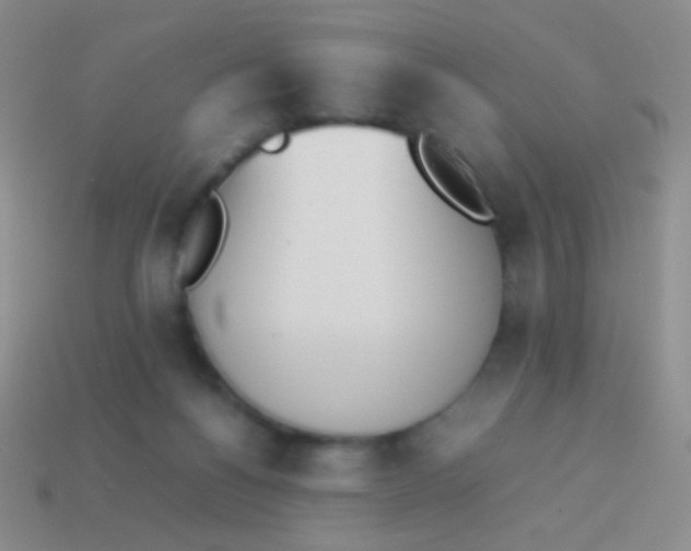 X0000114230168200910231511