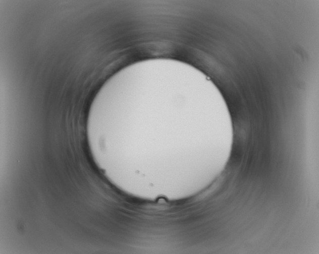 X0000114230170200910231511