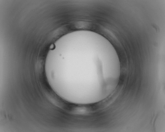 X0000114230171200910231511