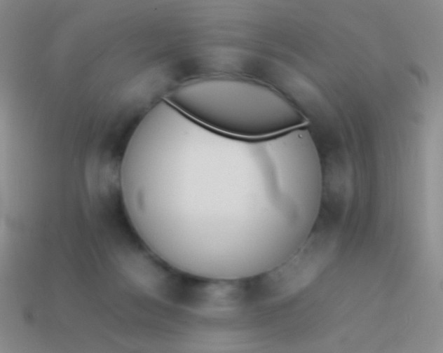 X0000114230172200910231511