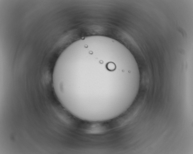 X0000114230173200910231511