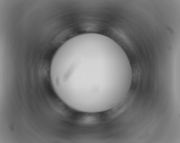 X0000114230175200910231511