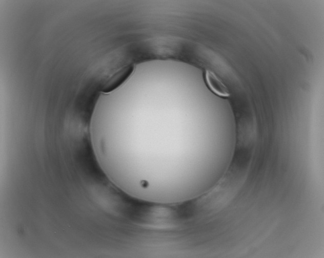 X0000114230176200910231511