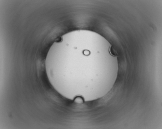 X0000114230180200910231511