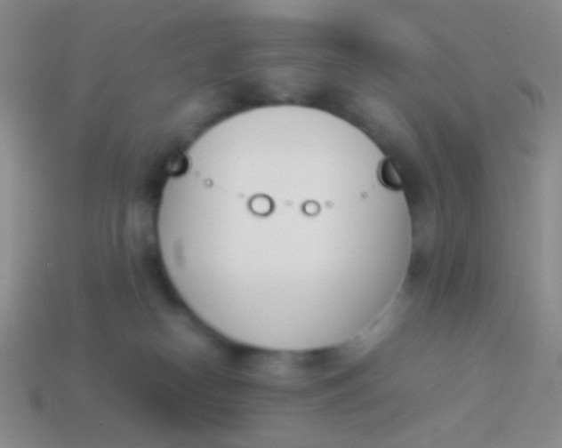 X0000114230182200910231511