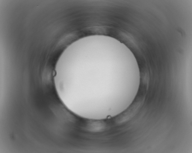 X0000114230185200910231511