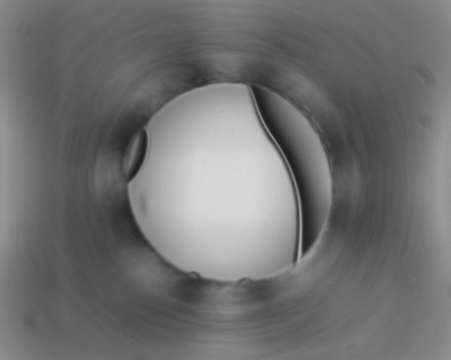 X0000114230186200910231511
