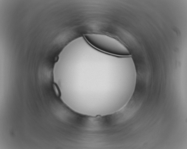 X0000114230188200910231511