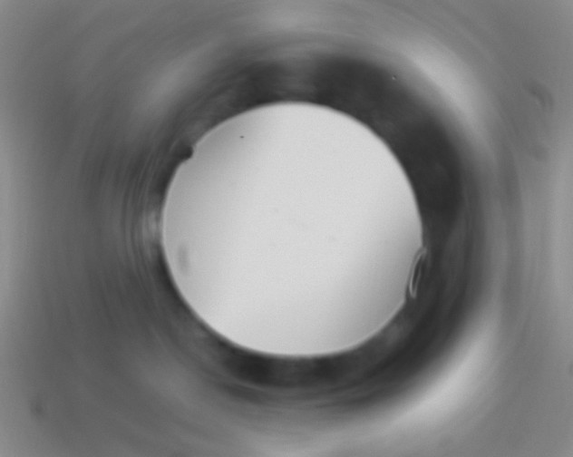 X0000114230190200910231511