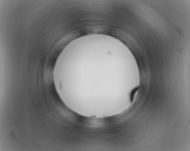 X0000114230191200910231511