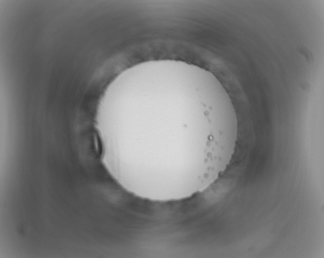 X0000114230192200910231511