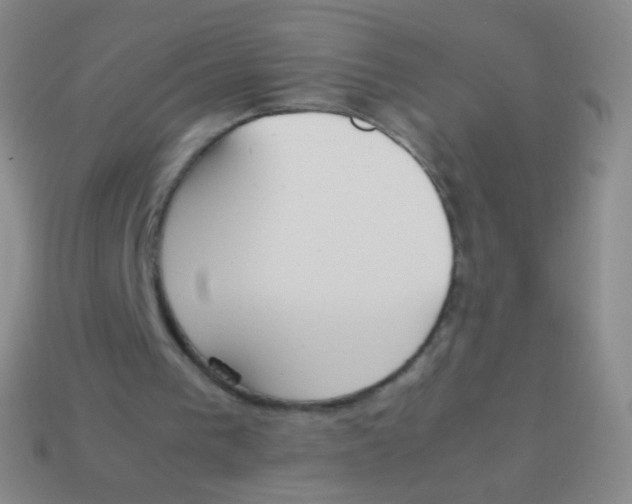 X0000114230193200910231510