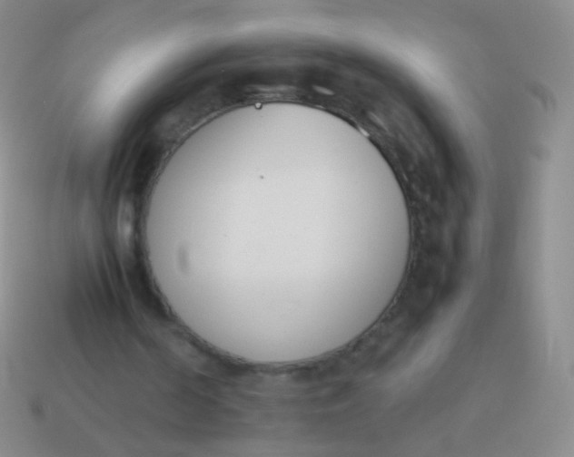 X0000114230194200910231510