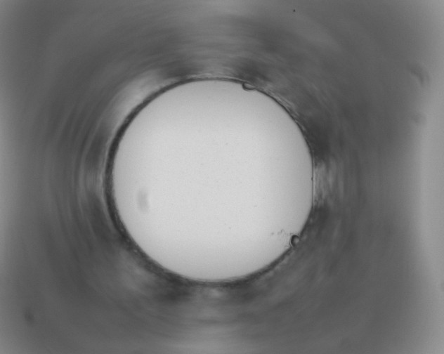 X0000114230195200910231510