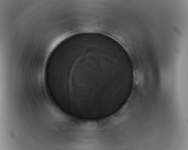 X0000114230196200910231510