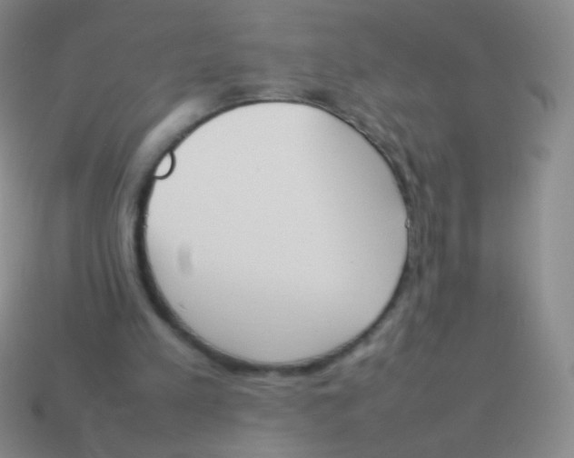X0000114230197200910231510