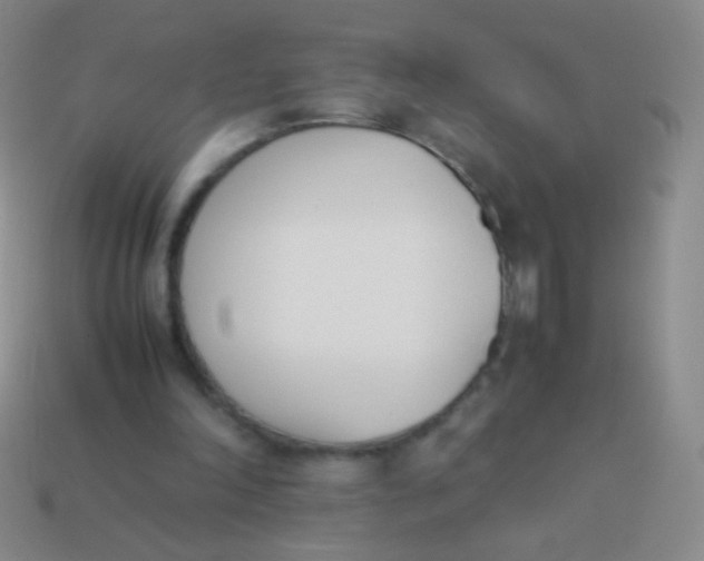 X0000114230198200910231510