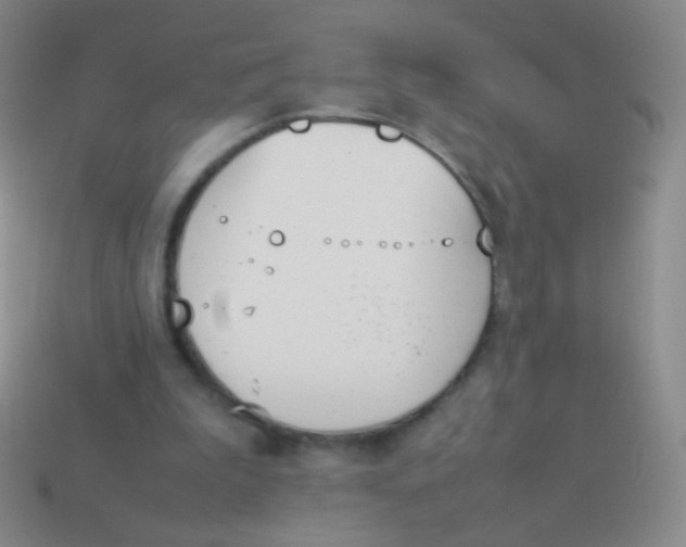 X0000114230199200910231510