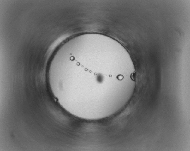X0000114230200200910231510