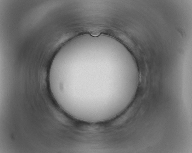 X0000114230201200910231510
