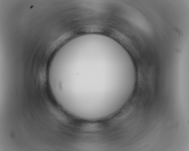 X0000114230202200910231510
