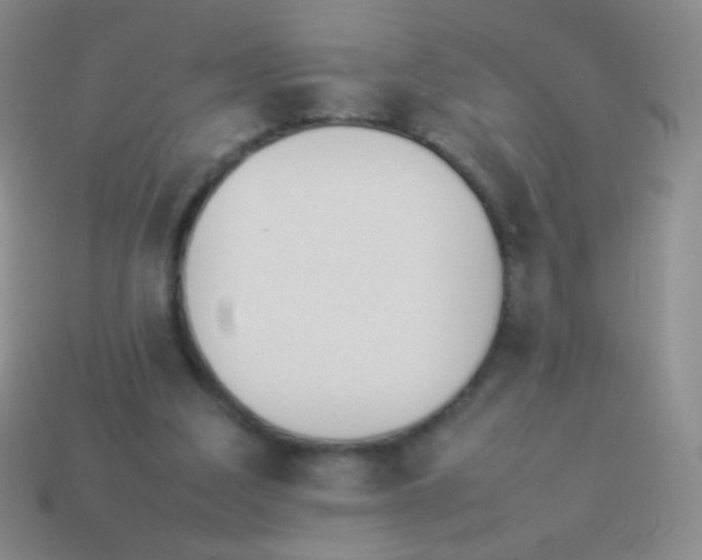 X0000114230203200910231510
