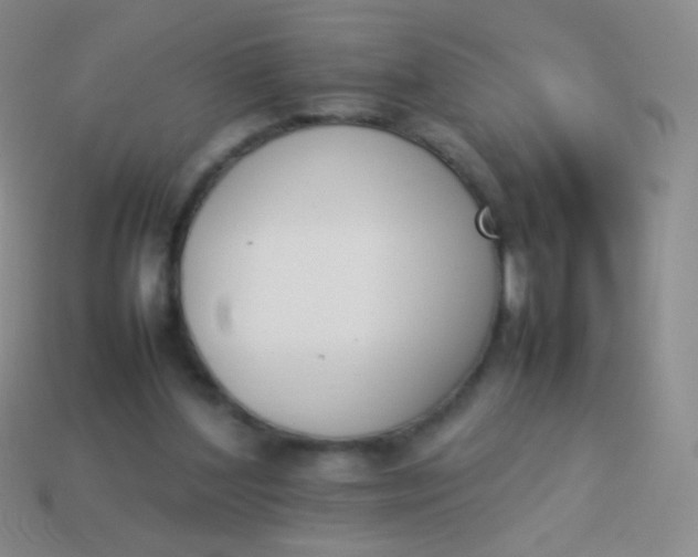 X0000114230204200910231510