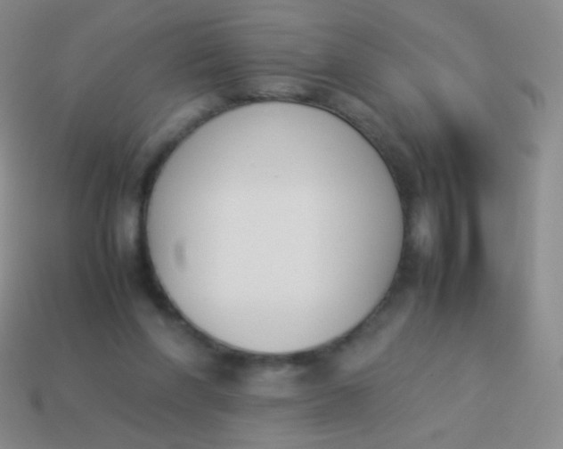 X0000114230206200910231510
