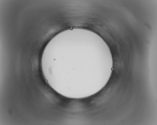 X0000114230207200910231510