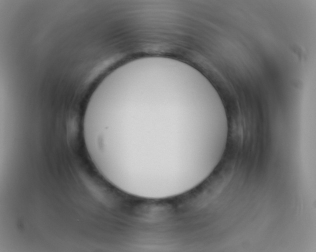 X0000114230208200910231510